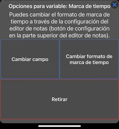 photo-title-timestamp-options
