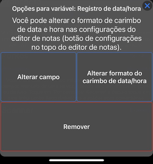photo-title-timestamp-options
